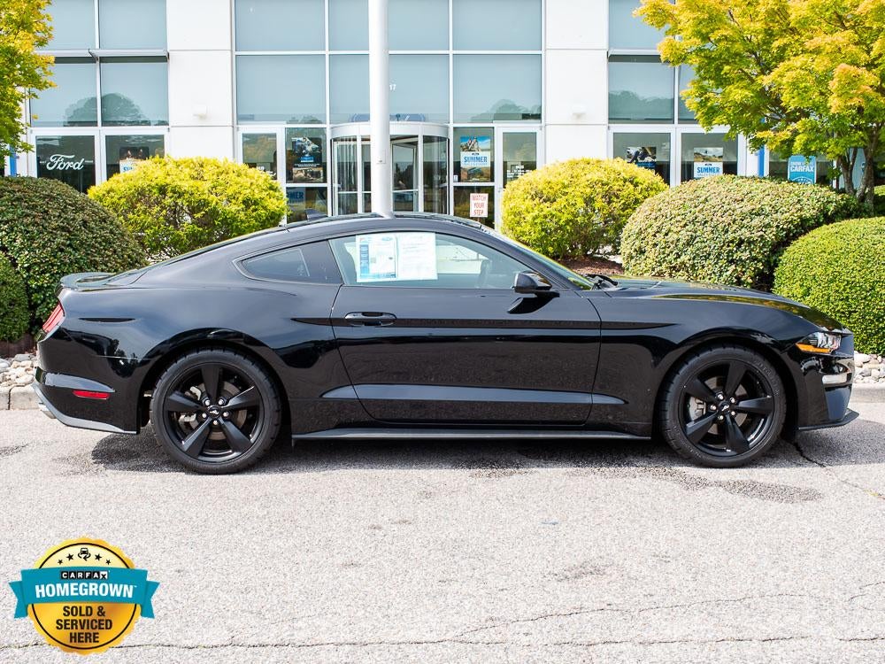 2022 Ford Mustang EcoBoost