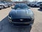 2015 Ford Mustang EcoBoost