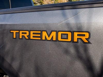 2024 Ford F-350 Platinum